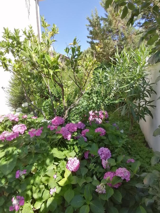 Casa Vacanze Villa Rosa Cala Gonone Buitenkant foto